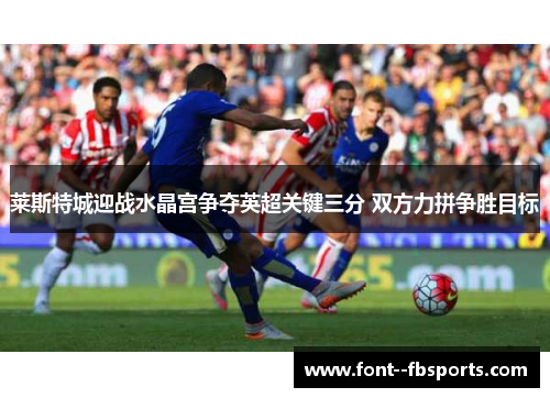 莱斯特城迎战水晶宫争夺英超关键三分 双方力拼争胜目标