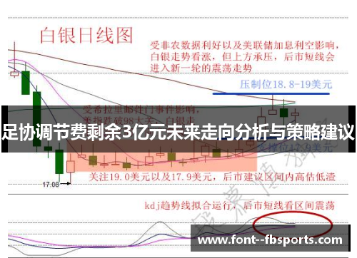 足协调节费剩余3亿元未来走向分析与策略建议 足协调节费剩余3亿元未来走向分析与策略建议