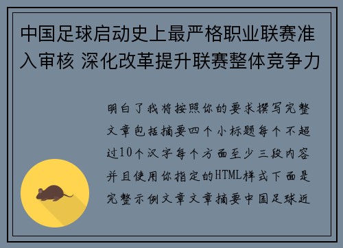 中国足球启动史上最严格职业联赛准入审核 深化改革提升联赛整体竞争力